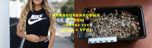 МДПВ Великий Новгород
