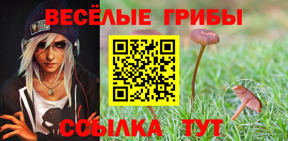 как найти   Вход с VPN  Тихвин  Галлюциногенные грибы Magic Shrooms 