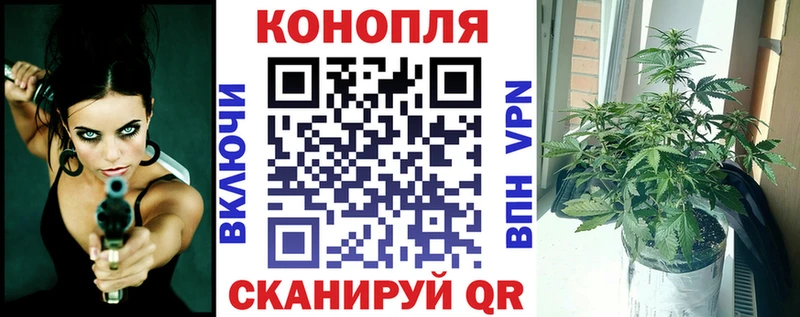ссылка на мегу рабочий сайт  где купить наркотик  Тихвин  Канабис AK-47 